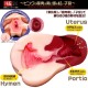 Uterus.